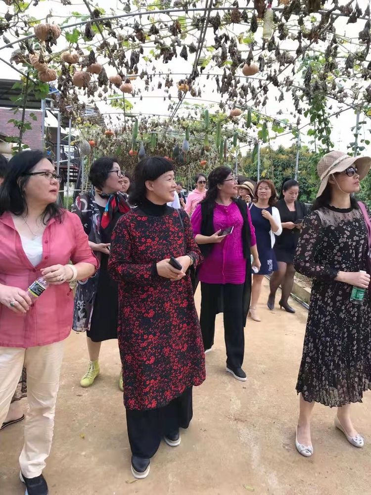 省联社“三八”妇女节活动在琼海举行