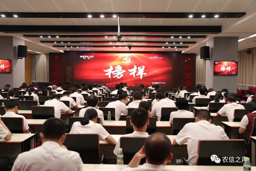 海南省农信社组织收看《榜样4》专题节目