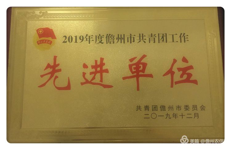 喜报！儋州农信社团委荣获2019年度儋州市共青团“先进单位”称号
