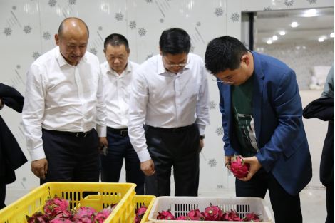 王年生带队赴儋州联社调研