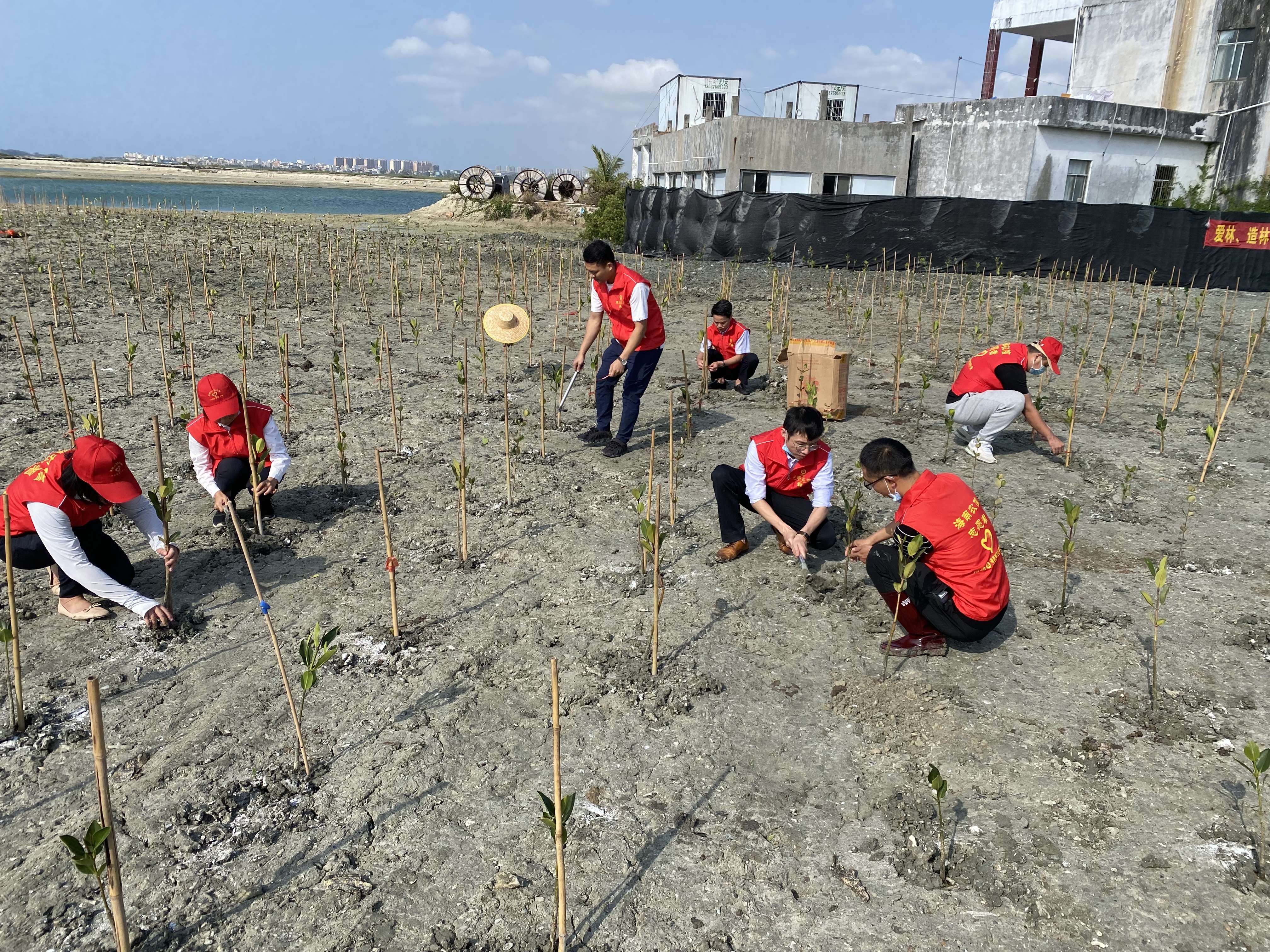 我为群众办实事，植树增绿在行动 ——陵水联社团委开展“学雷锋志愿服务月”活动