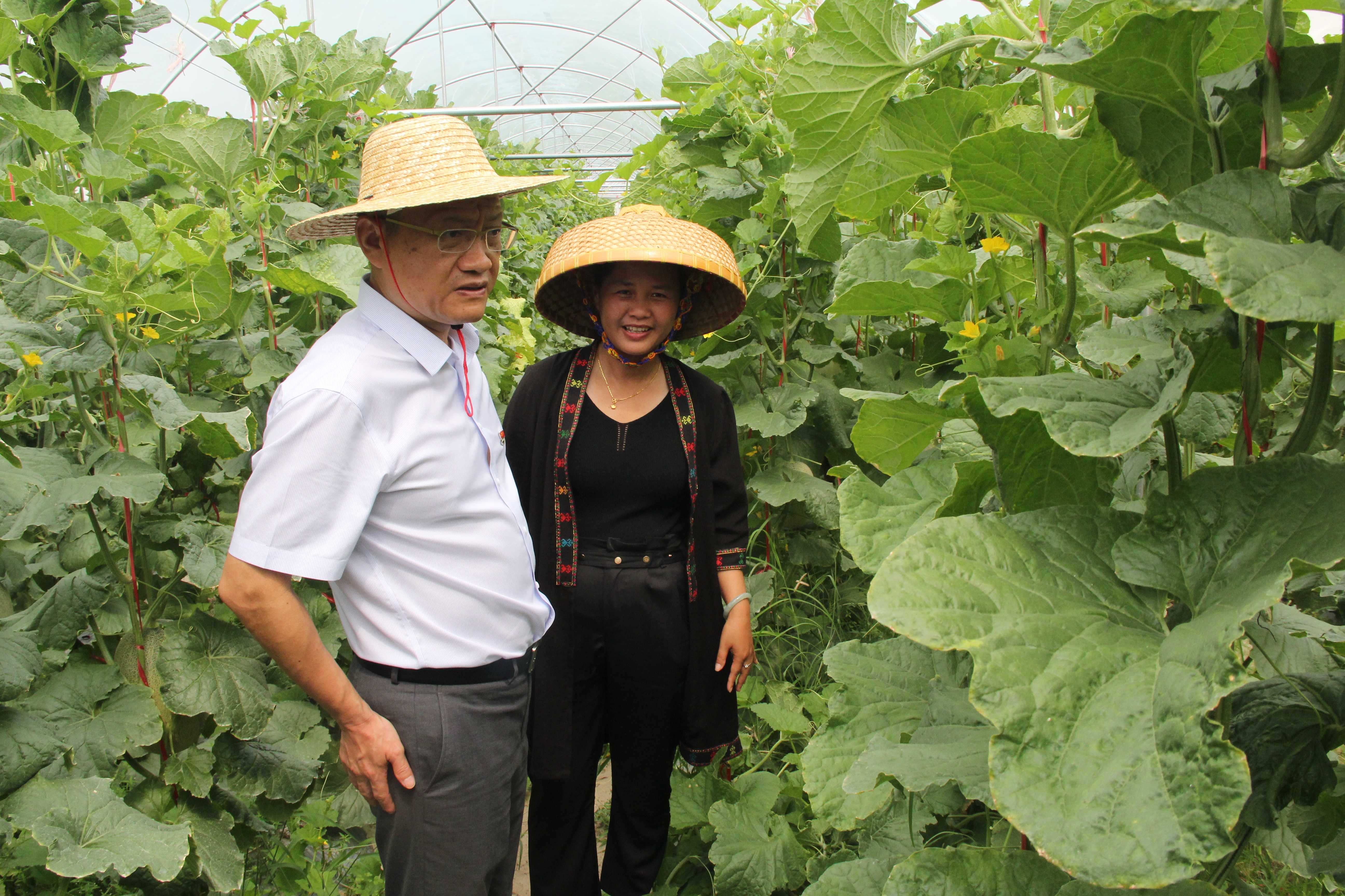 省联社党委副书记王绍文率队到陵水联社开展调研