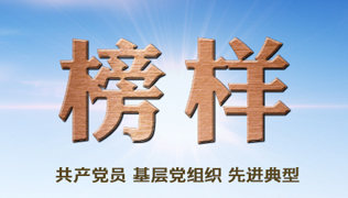 榜样--共产党员、基层党组织先进典型