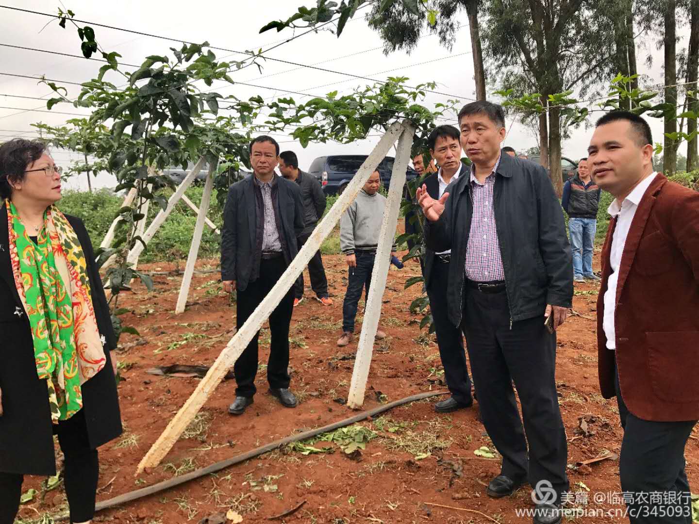 书法文化添年味 春联福祉送农家——海南银保监局 海南省农村信用社“迎新春送书法”下乡活动