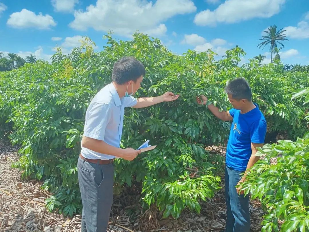 海口农商银行首笔线上创业担保贷成功落地