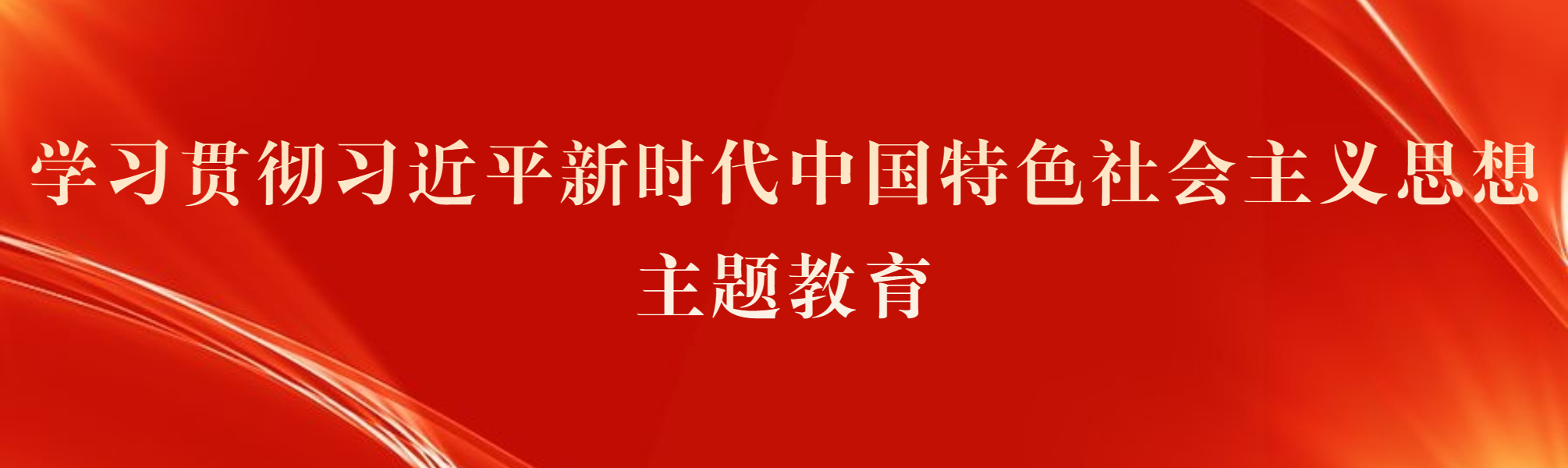 学习贯彻习近平新时代中国特色社会主义思想主题教育