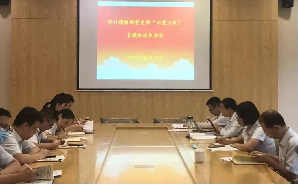 海南农商银行海口支行基层党支部召开“以案三促”专题组织生活会