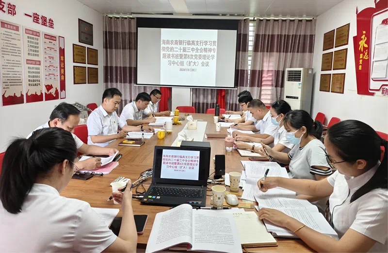 海南农商银行临高支行举办党委理论学习中心组（扩大）学习会暨学习贯彻党的二十届三中全会精神读书班