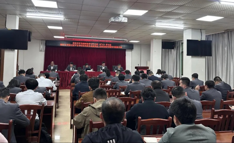 海南农商银行定安支行召开党委理论学习中心组（扩大）学习会暨学习习近平总书记在民营企业座谈会上的重要讲话精神专题读书班
