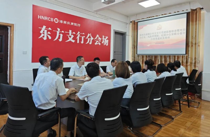 海南农商银行东方支行开展党建督导检查暨党建工作培训