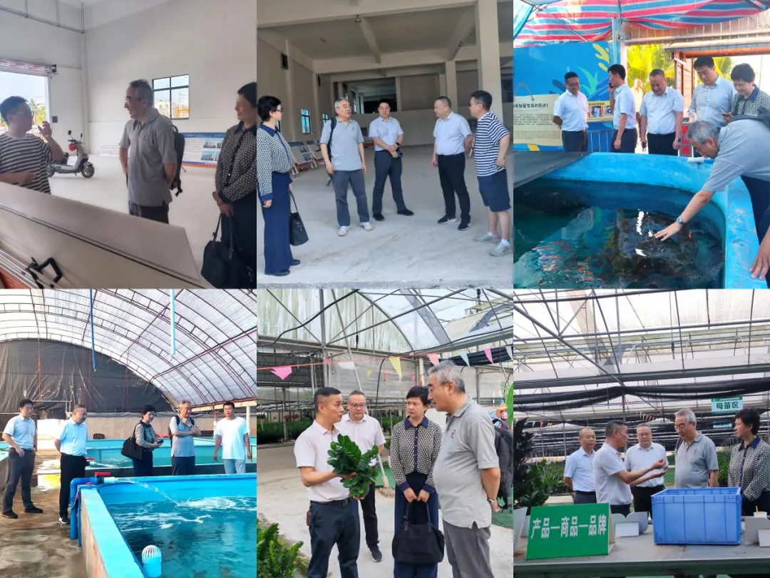 海南农商银行独立董事赴五指山、乐东支行调研