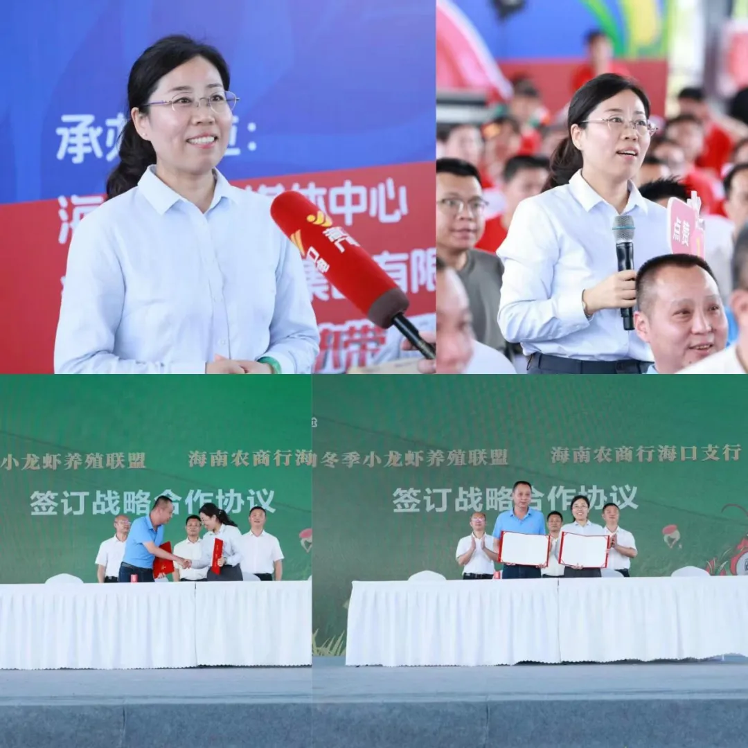 海口支行金融活水润泽“稻虾”产业