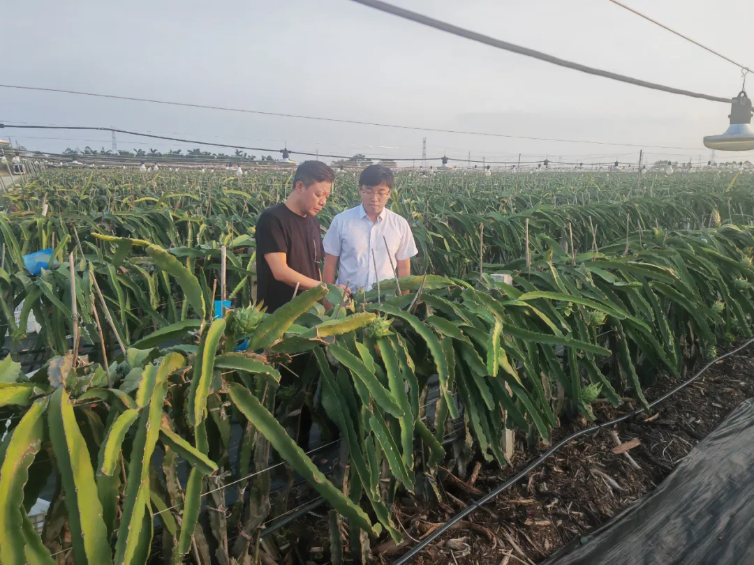 昌江支行：党建引领多维度赋能 谱写金融服务新篇章