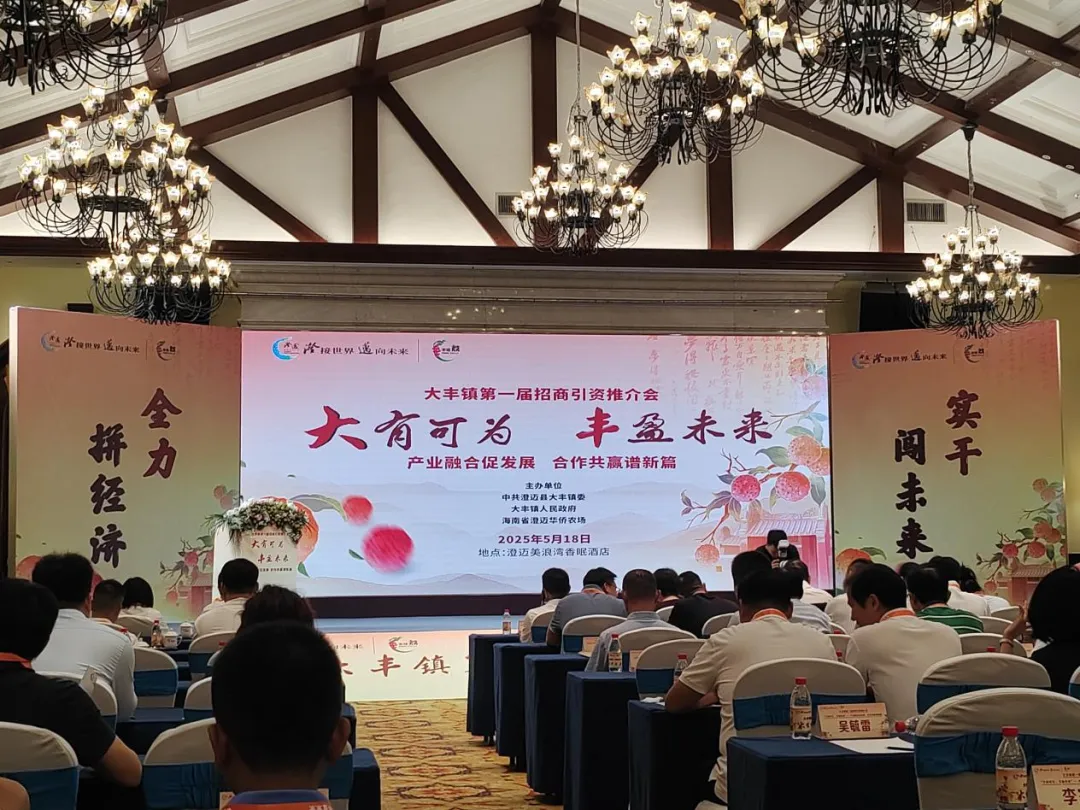 澄迈支行参加大丰镇“大有可为，丰盈未来”招商引资推介