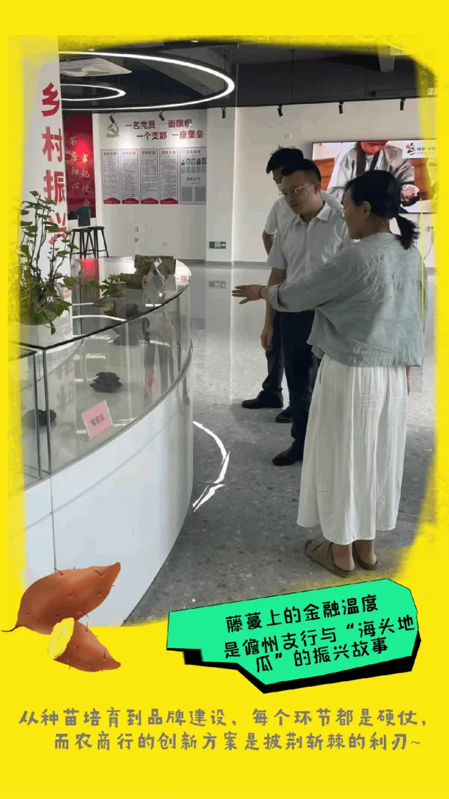 儋州支行：金融活水润“海头地瓜”，惠农兴产显担当