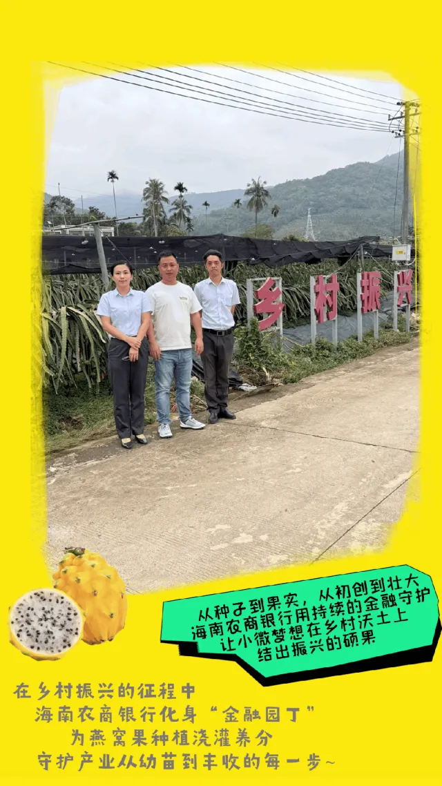 三亚支行：用金融春雨浇灌燕窝果产业新希望