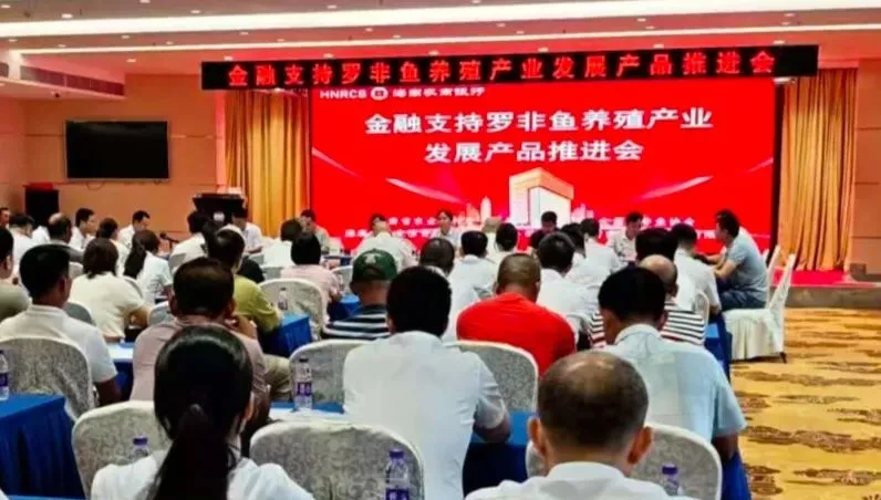 海南农商银行金融助力罗非鱼特色产业跃向新高度