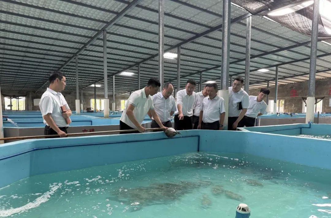 冯浩昆到陵水支行调研