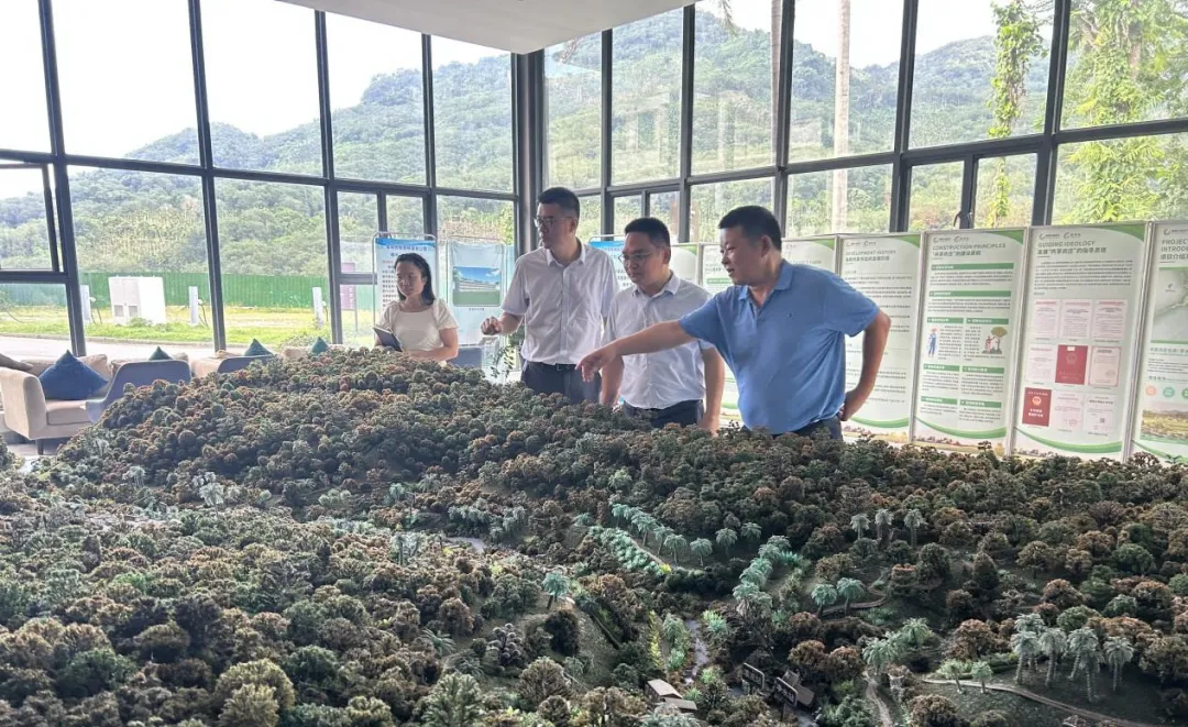 保亭金融监管支局到保亭支行调研指导