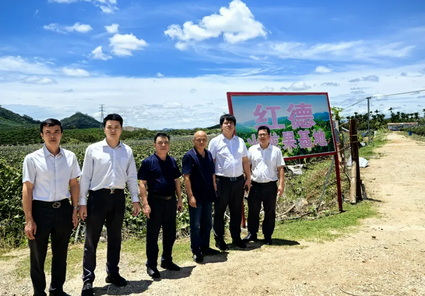 灾后重建 “加速度”！陵水支行多招齐发护航复工复产
