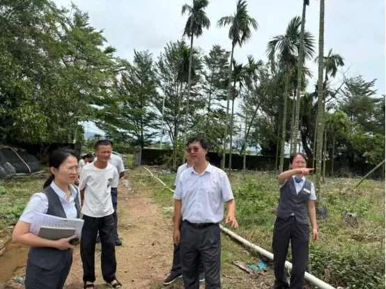 网点速开+贷款快放，三亚支行灾后金融服务安全感拉满！