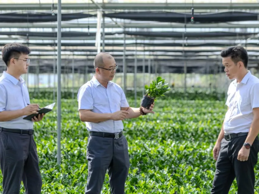 乐东支行:创新金融服务,助乐东农产品 “出海” 闯世界 乐东支行:创新金融服务,助乐东农产品 “出海” 闯世界