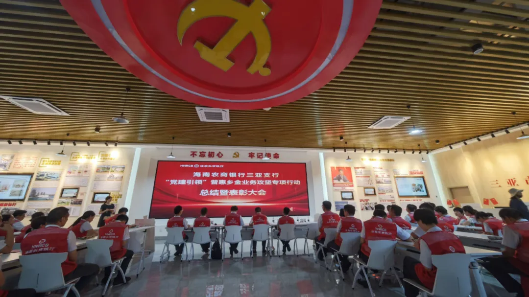 党建领航破困局 三亚支行普惠攻坚行动交出亮眼答卷