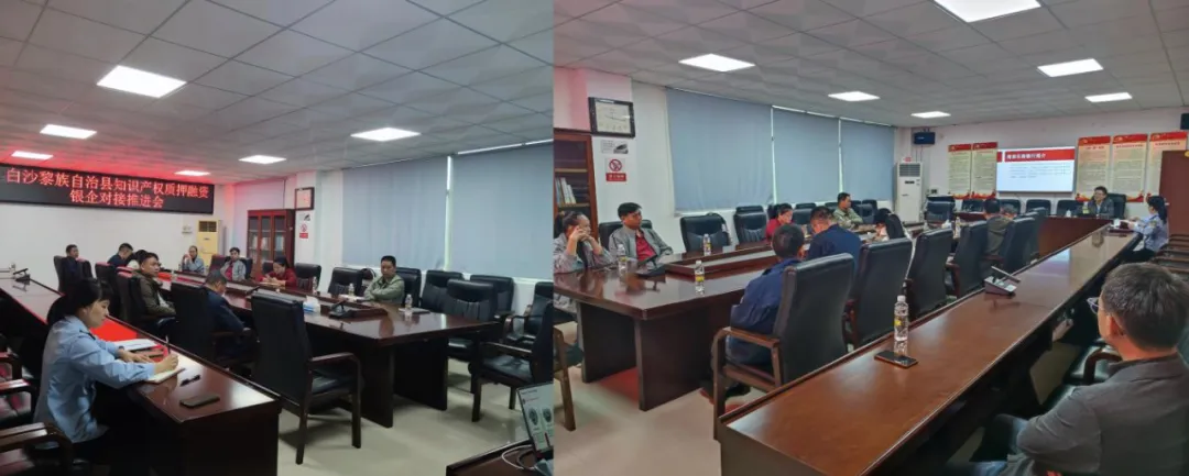 白沙支行:政银企协同发力 破解科技企业 “知产” 融资困局 白沙支行:政银企协同发力 破解科技企业 “知产” 融资困局