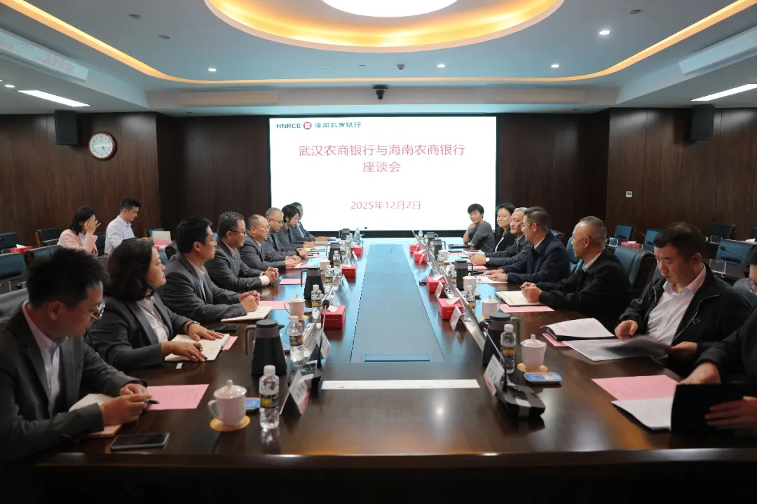 海南农商银行与武汉农商银行座谈