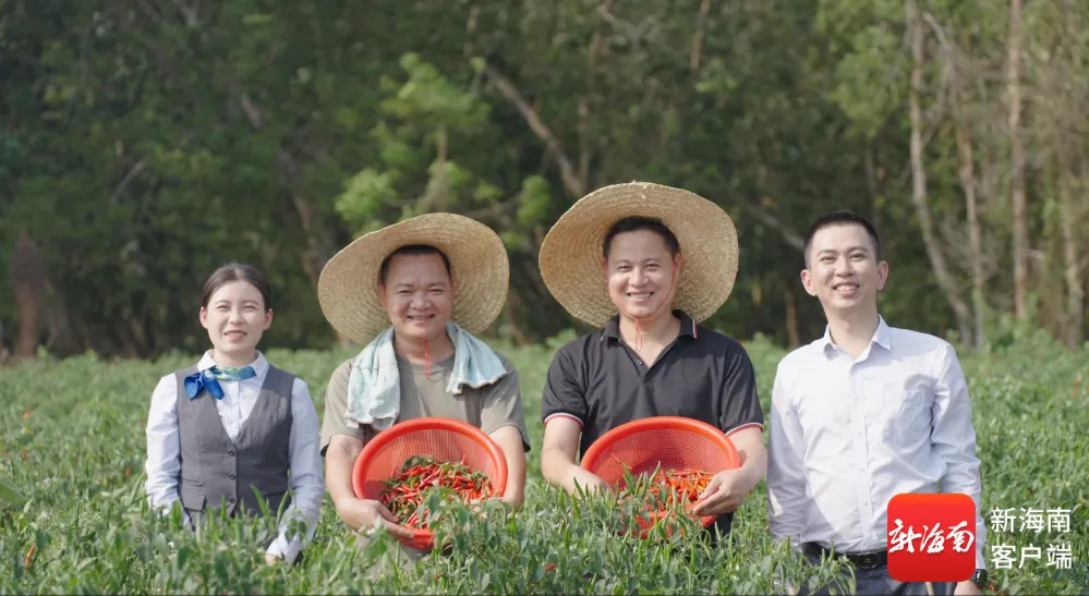 海南农商银行：本土金融乘势向前 共绘自贸港开放新图景