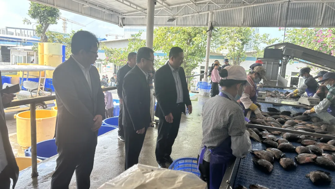 李晓刚拜访海南翔泰渔业 共探银企合作新路径 李晓刚拜访海南翔泰渔业 共探银企合作新路径
