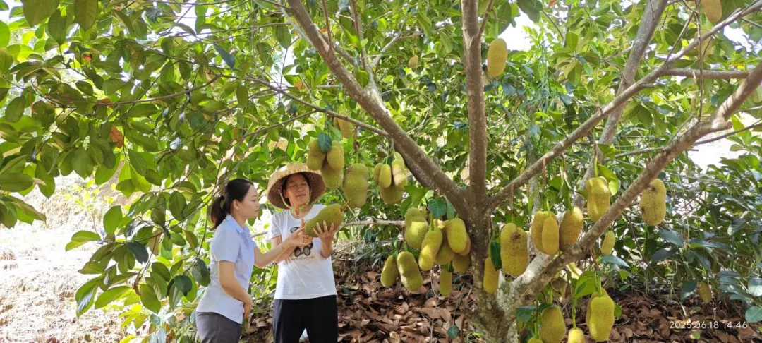 保亭支行奋楫自贸港建设新征程
