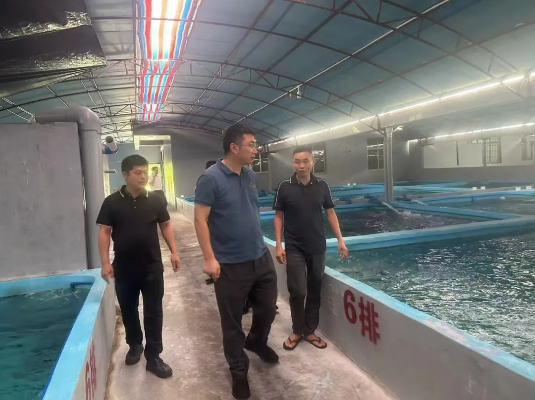 万宁支行多维进阶书写时代答卷