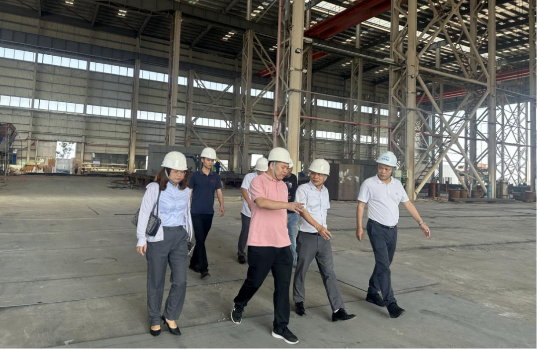 临高支行：“蓝色金融”涌动县域，“红色引擎”赋能发展