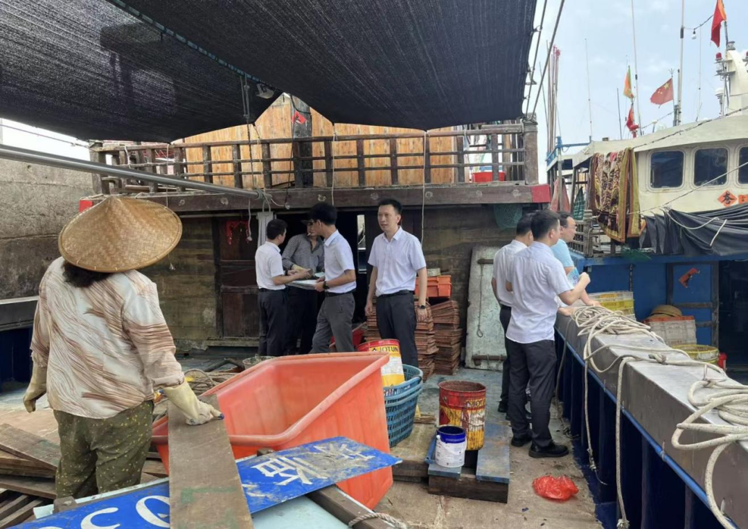 临高支行：“蓝色金融”涌动县域，“红色引擎”赋能发展