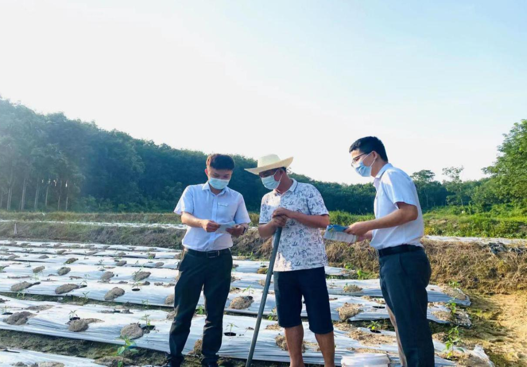 临高支行：“蓝色金融”涌动县域，“红色引擎”赋能发展