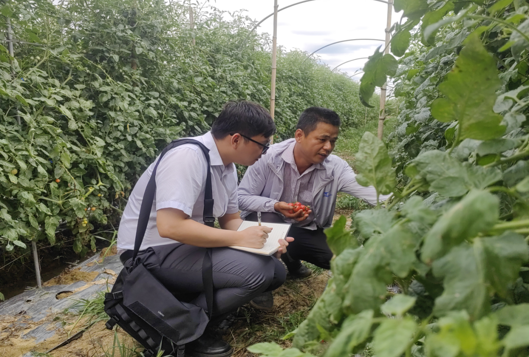 定安支行：党建领航风帆劲 实干笃行谱新篇