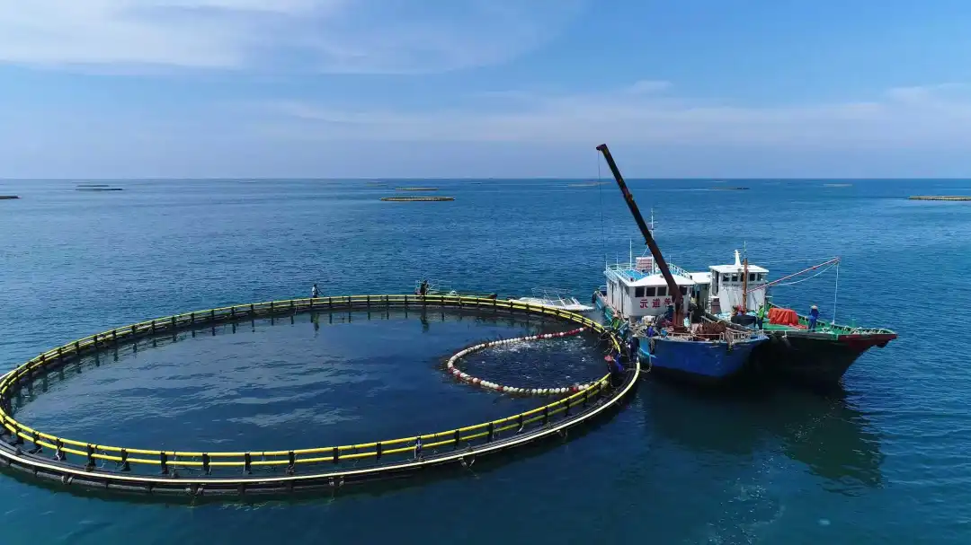 海南农商银行：潮涌南海明珠 向海图强逐浪高