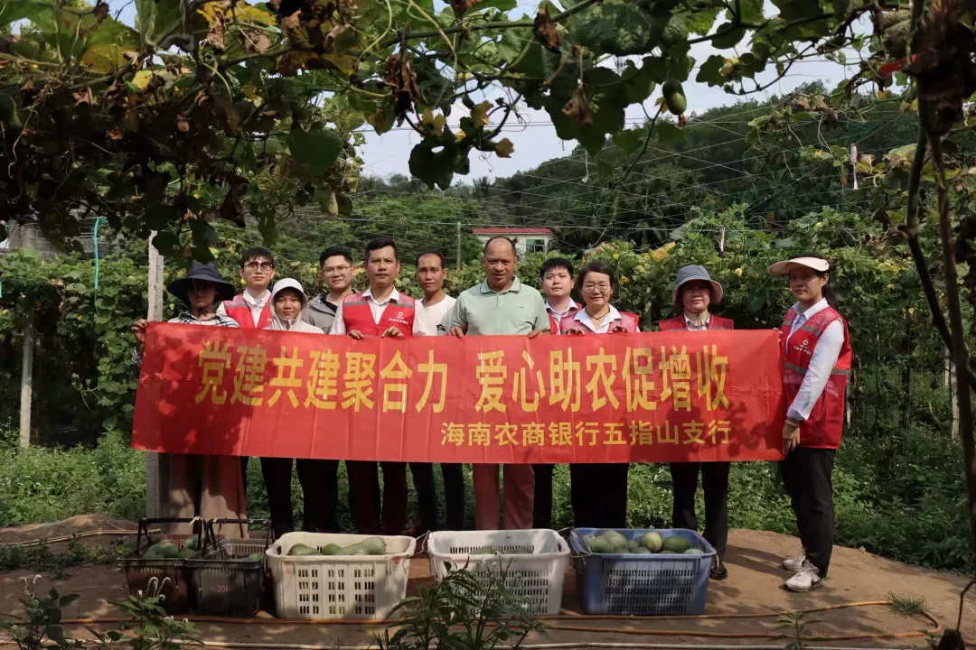 五指山支行：深耕山城担使命 蓄势赋能立新高