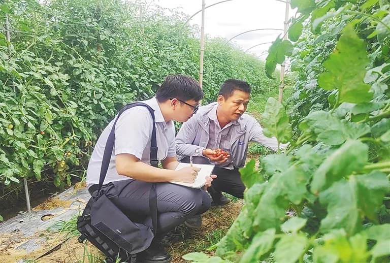 守牢主责主业,提供高质量金融服务 海南农商银行:改制两载显担当 守牢主责主业,提供高质量金融服务 海南农商银行:改制两载显担当