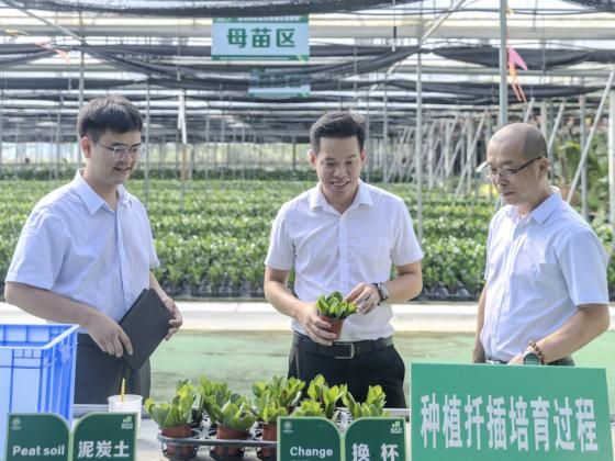 乐东支行34亿元彰显“三农”情怀 乐东支行34亿元彰显“三农”情怀