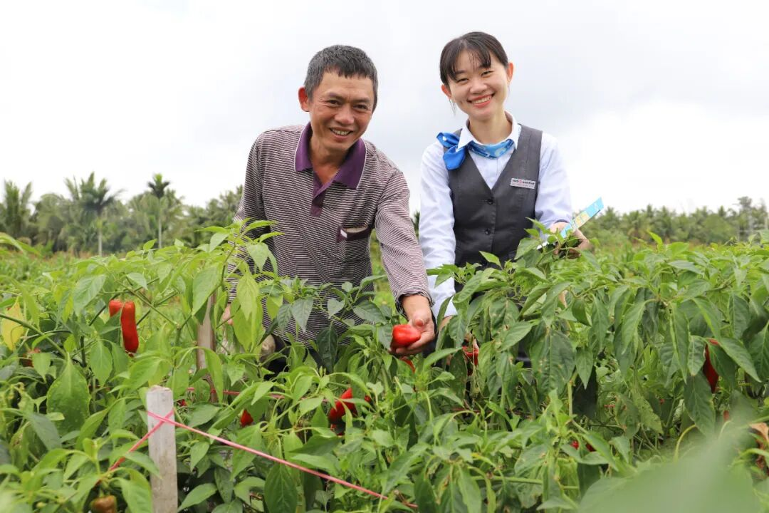 海南农商银行携手琼超共绘自贸港体育金融新蓝图
