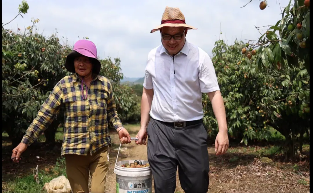 抗旱保收！定安支行火速送贷为荔枝园“解渴”