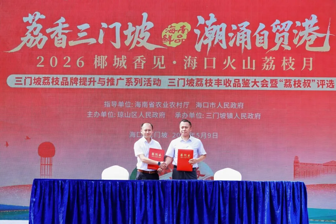 海口支行以定制服务赋能荔枝产业发展 海口支行以定制服务赋能荔枝产业发展