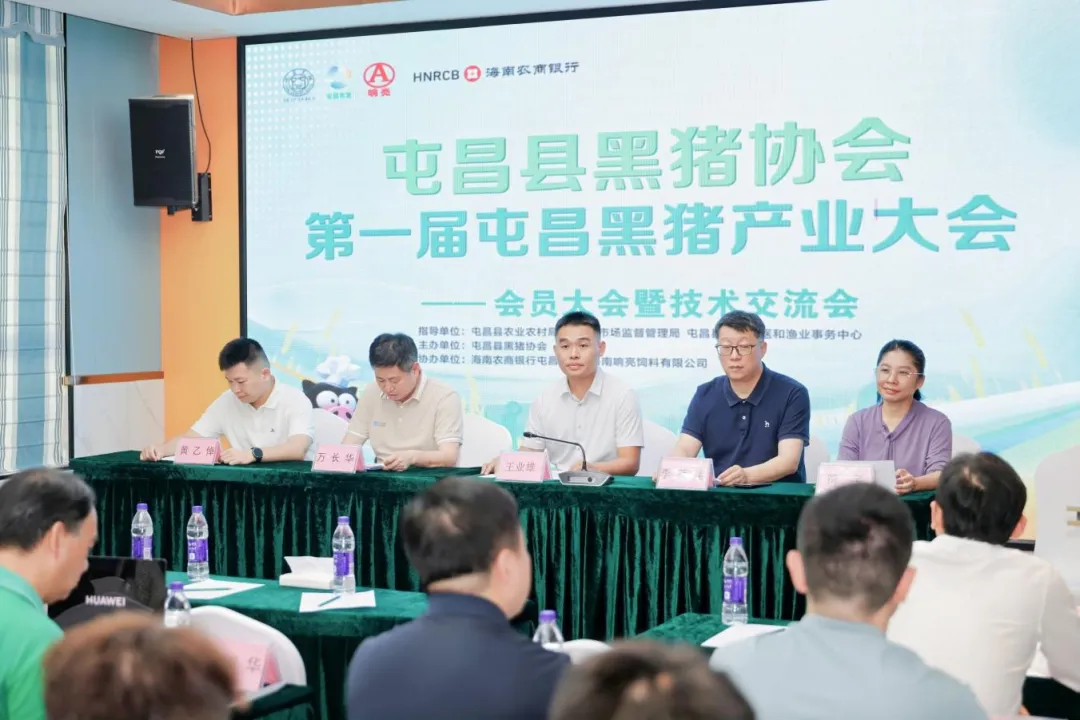 屯昌支行护航首届黑猪产业大会 屯昌支行护航首届黑猪产业大会